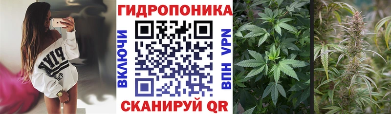 Названия наркотиков Задонск Марихуана Мефедрон ГАШ