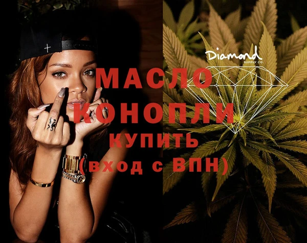 гашик Краснослободск