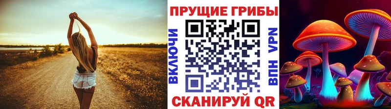 Псилоцибиновые грибы мухоморы  mega вход  Задонск  закладки 